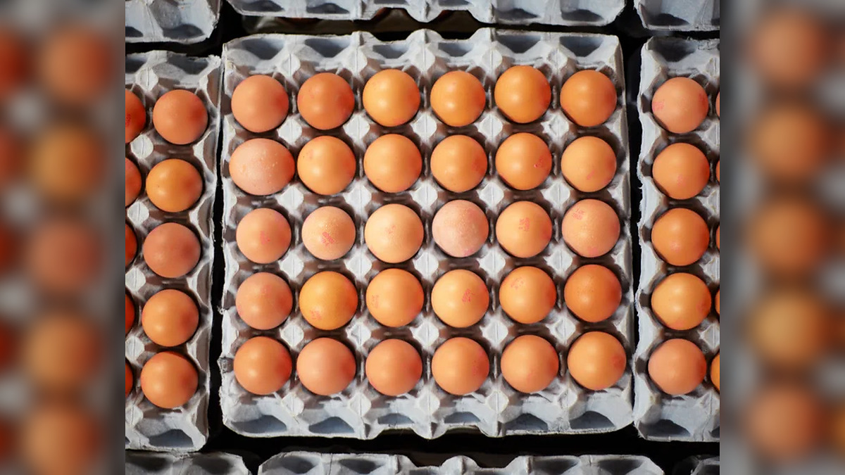 Eggs