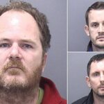 Fraudsters