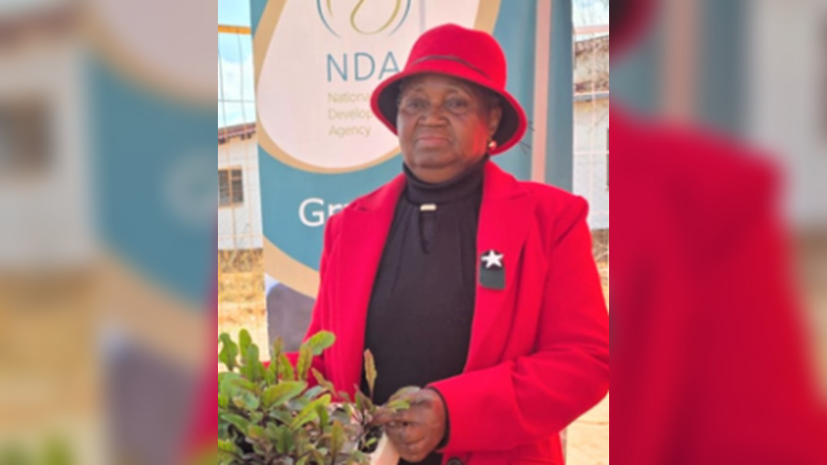 Woman who refused to ignore children on Limpopo streets builds thriving community project creating jobs and food security