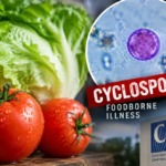 Michigan Confirms First US Deaths Linked to Cyclospora Parasite as Thousands Fall Ill Nationwide