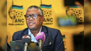 NPA Reverses Course as Fikile Mbalula Faces Crimen Injuria Charge Over Bergview Principal Comments