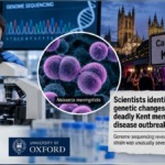 Scientists Discover How Meningococcal Bacteria Became Unusually Dangerous During Deadly Canterbury Outbreak