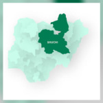 ₦2.3m to Produce One Hectare of Rice: Federal Government Moves to Cut Costs