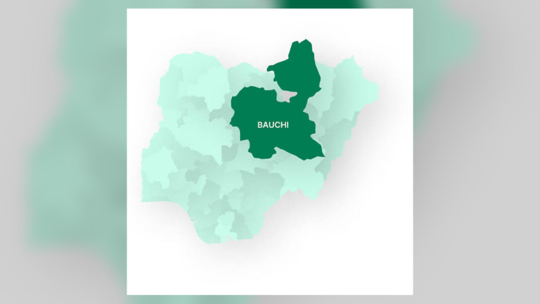 ₦2.3m to Produce One Hectare of Rice: Federal Government Moves to Cut Costs