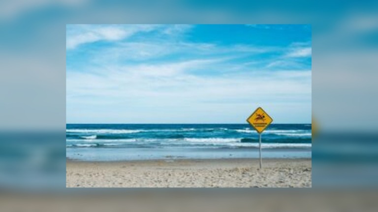 28-Year-Old Man Drowns in Richards Bay as Bystanders Attempt Rescue Before Emergency Crews Arrive
