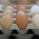 36 Salmonella Cases Raise Alarm as UK Orders Withdrawal of Contaminated Imported Eggs