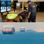 Africa’s $27.7 Billion Freight Market Faces a Major Challenge as Customs Delays Inflate Shipping Bills