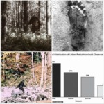 Bigfoot Sightings Surge Near American Towns as New Analysis Raises Questions About Winter Night Visits