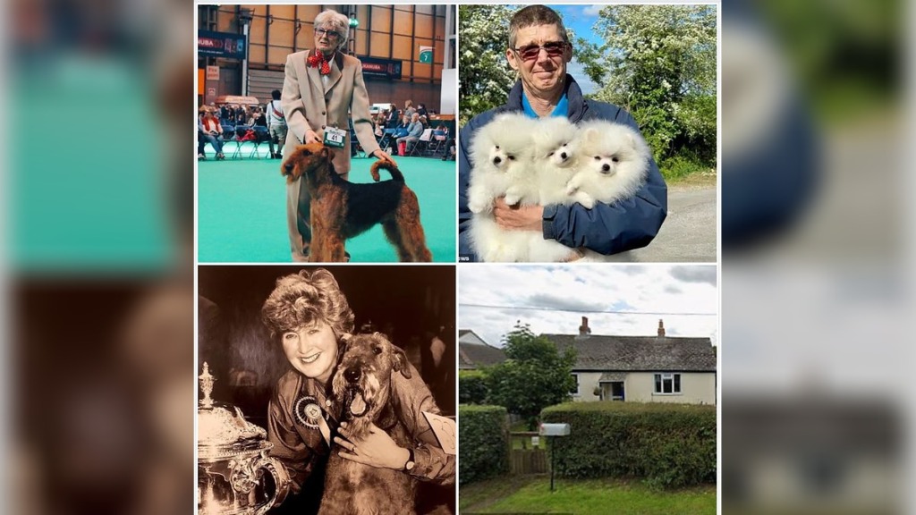 Dog Breeder's Son Risks Losing Entire £1.1m Fortune as Long-Time Kennel Hand Demands More