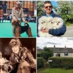 Dog Breeder's Son Risks Losing Entire £1.1m Fortune as Long-Time Kennel Hand Demands More