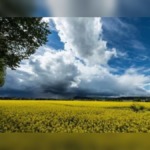 From Freezing to 30°C Gauteng Braces for Dramatic Spring Weather Reversal This Week