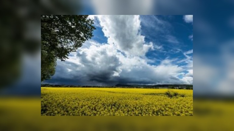 From Freezing to 30°C Gauteng Braces for Dramatic Spring Weather Reversal This Week