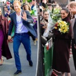 Harry and Meghan