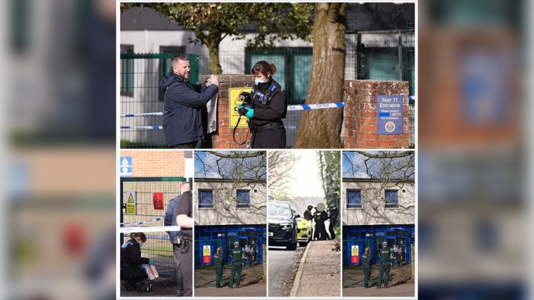 Teen Accused of Stabbing Girl Had Written About Killing and Admiring Serial Killers, Court Hears