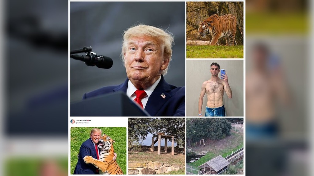 Trump Under Fire Over Social Media Posts Featuring British Man’s Death in Tiger Enclosure