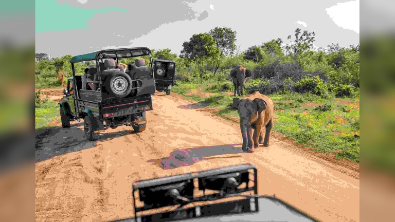 Why Visiting Kruger National Park in Winter Could Cost You More Than You Expect