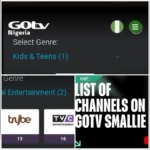 ₦1,900 GOtv Smallie Package. Can You Watch BBNaija and Africa Magic Without Upgrading