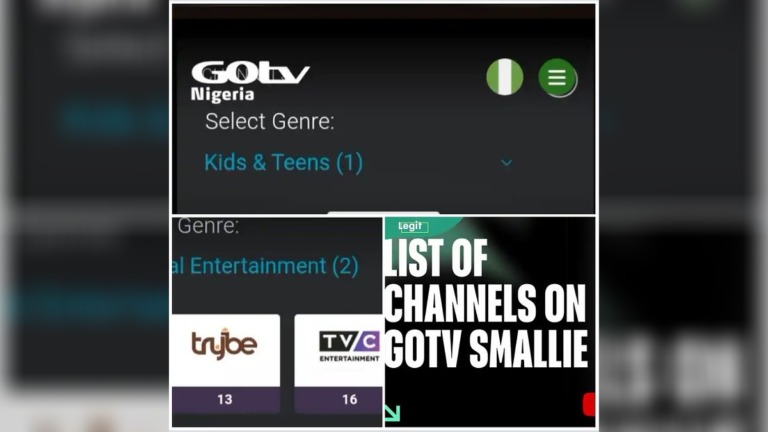 ₦1,900 GOtv Smallie Package. Can You Watch BBNaija and Africa Magic Without Upgrading